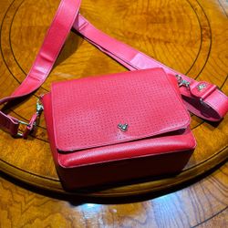 Disney Park Crossbody Red Purse 