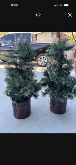 Christmas 🎄 Trees