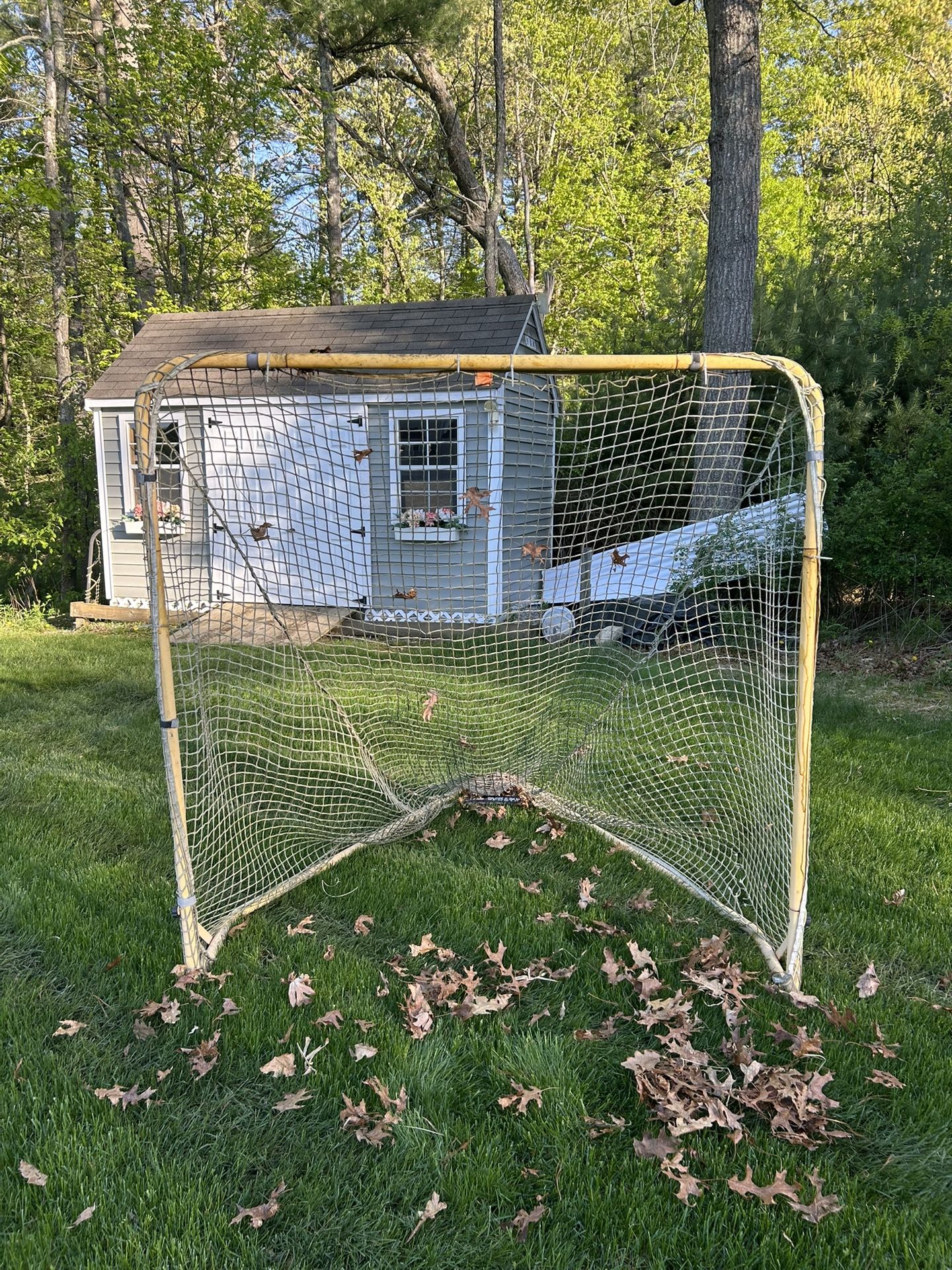 Lacrosse Goal