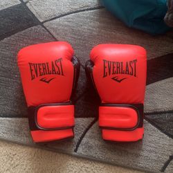 Everlast Boxing Gloves