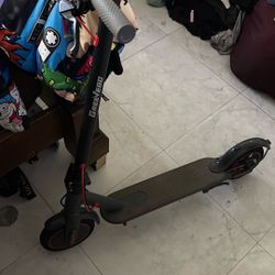 electric Scooter 