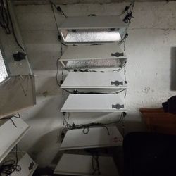 Indoor grow room lights