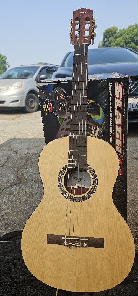 Acoustic Guitar