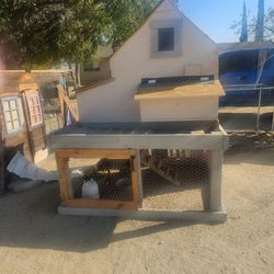 Chicken Coop