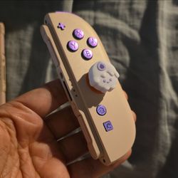 Custom pink Sakura switch 2 joycons