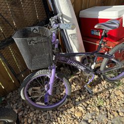 Kids Bicycle Bike 20” Wheels. 