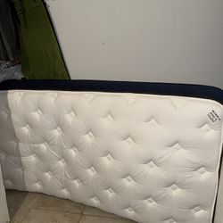 Brand New Bed 42 x 80 