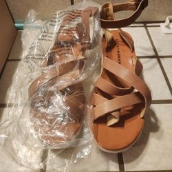 Brand New Lucky  Brand Wedges Size 5m New 