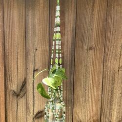 Plant Beaded Hanger 