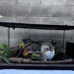 40 Gallon Reptile Tank Complete Setup 