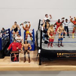 WWE Wrestling Action Figures