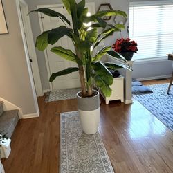 Fake Plant 