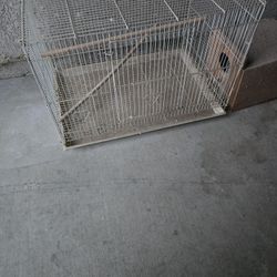 Bird Cage