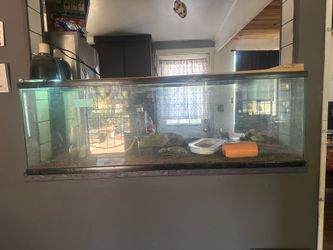 Reptile enclosure