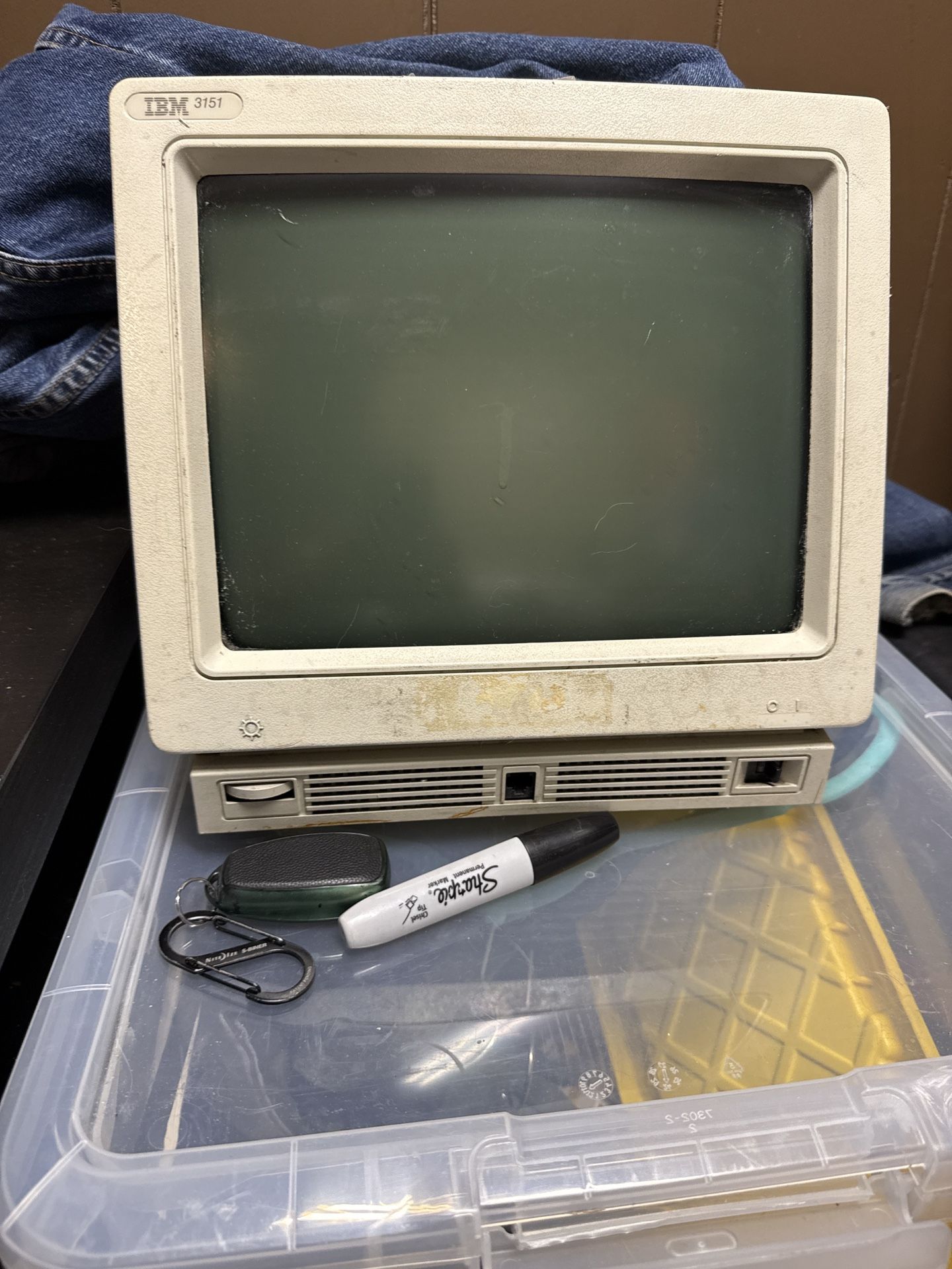 Vintage IBM 3151 Terminal – 1995 – Rare Retro Computer Monitor