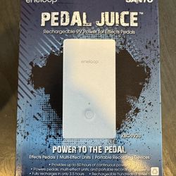 Pedal Rechargeable Power Supply