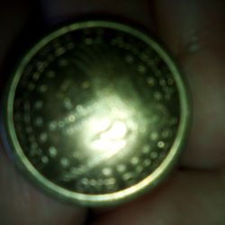 2000 D MINT DOLLAR COIN W INDIAN AND PAPUSE AND DETAILED TAIL FEATHERES