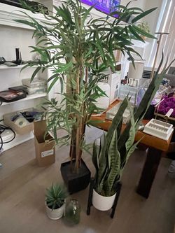 Artificial plants and flowers