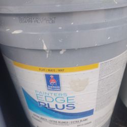 5 Gallons Interior Flat Beige Paint 