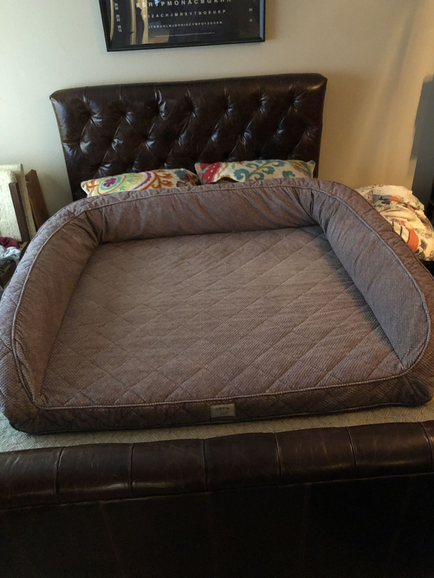 XL Orvis Dog Bed for Sale in Aliso Viejo, CA OfferUp