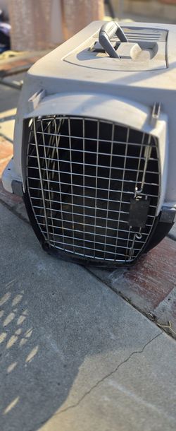 Dog House