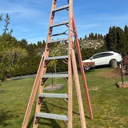 Werner Fiberglass 10ft tall Tripod 3 legs ladder heavy duty