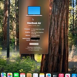 2020 MacBook Air Rose Gold