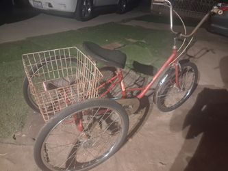 Adult Tricycle with Rear Basket
