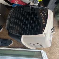 Medium size dog kennel