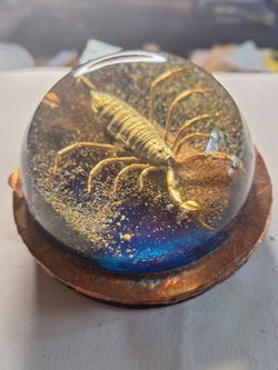 Scorpion  in Resin