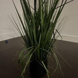 Fake Plant