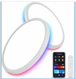 12 Inch WiFi Smart RGB LED Flush Mount Ceiling Light (2 Pack)