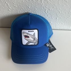 Shark 🦈 Goorin Bros ajustable hat 🧢