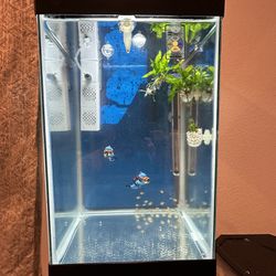 15 Gallon Clean Fish Tank aquarium + Fish Tank Lid + Light + Filter + Heater + Nice White Stand