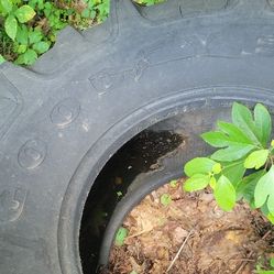Crossfit Tire
