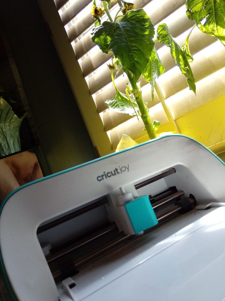 Cricut