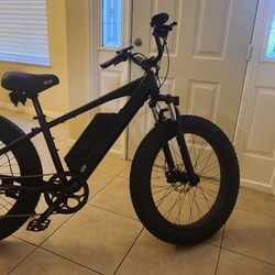 52v Electric Bike