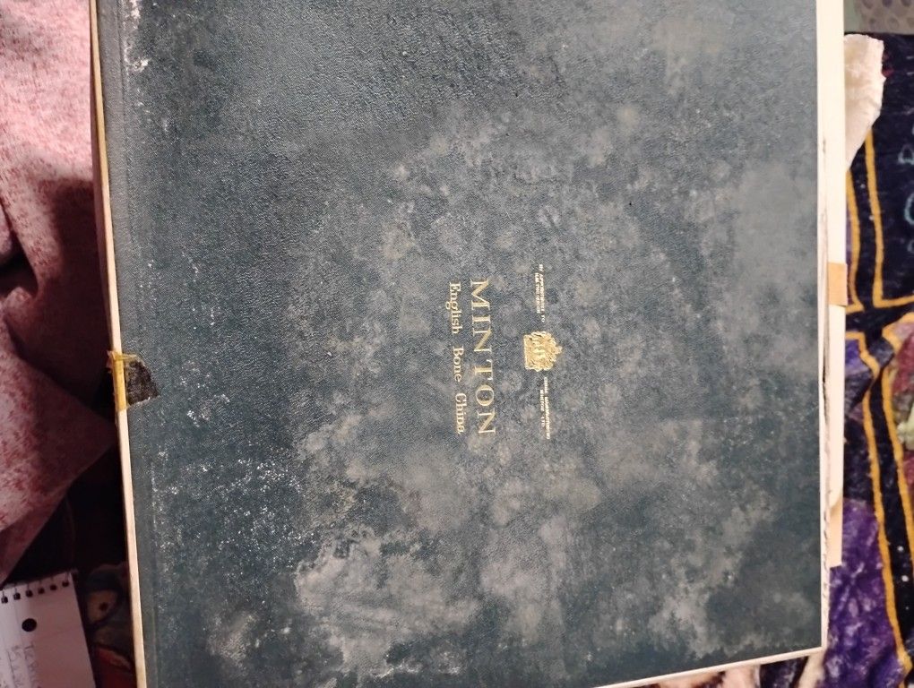 Vintage Bone China Dinner Plate