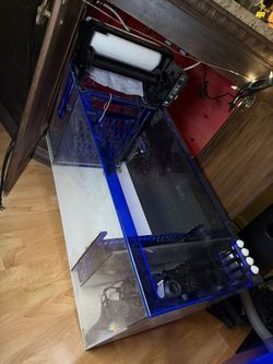 Trigger Systems Platinum Sump 34