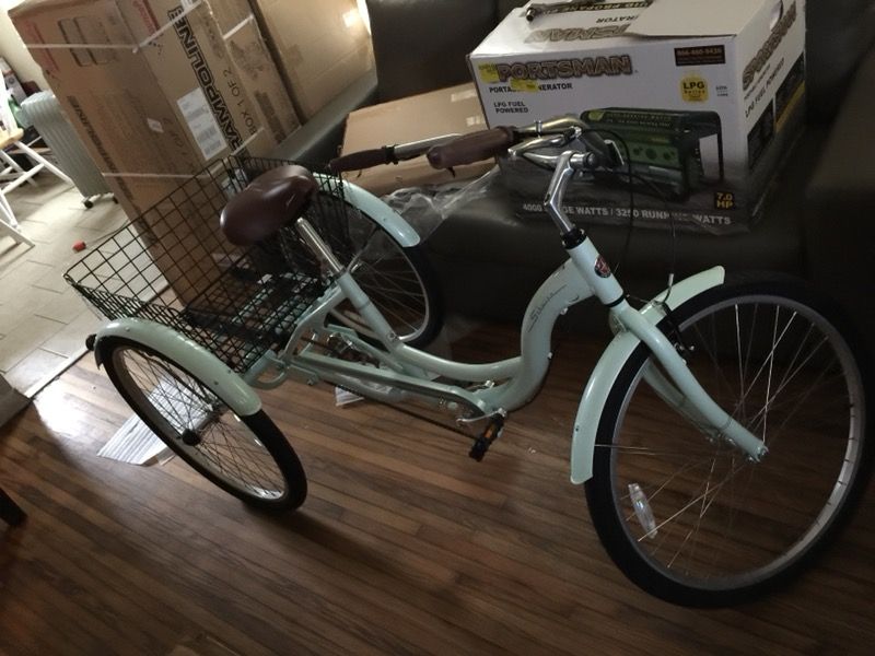 Schwinn meridian best sale tricycle mint