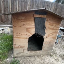 Dog House 