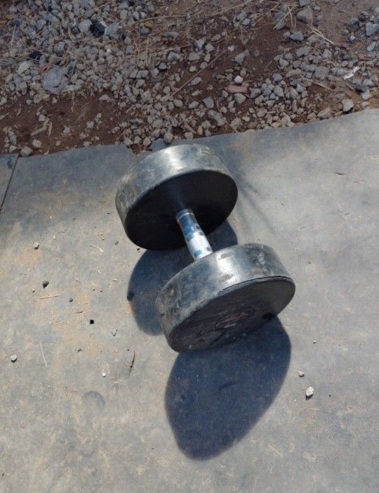 Single 95lb Dumbbell