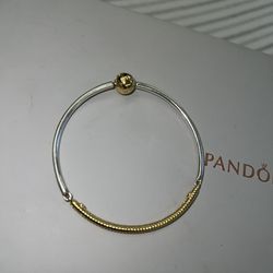Bangle/Snake Chain Pandora Bracelet