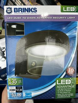 Brinks Security Light