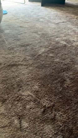 10’ x 13’ Linie Designér Rug from Denmark