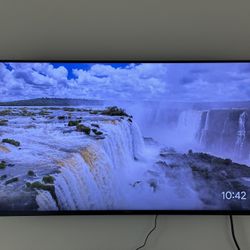 Sony 50 Inch Bravia TV