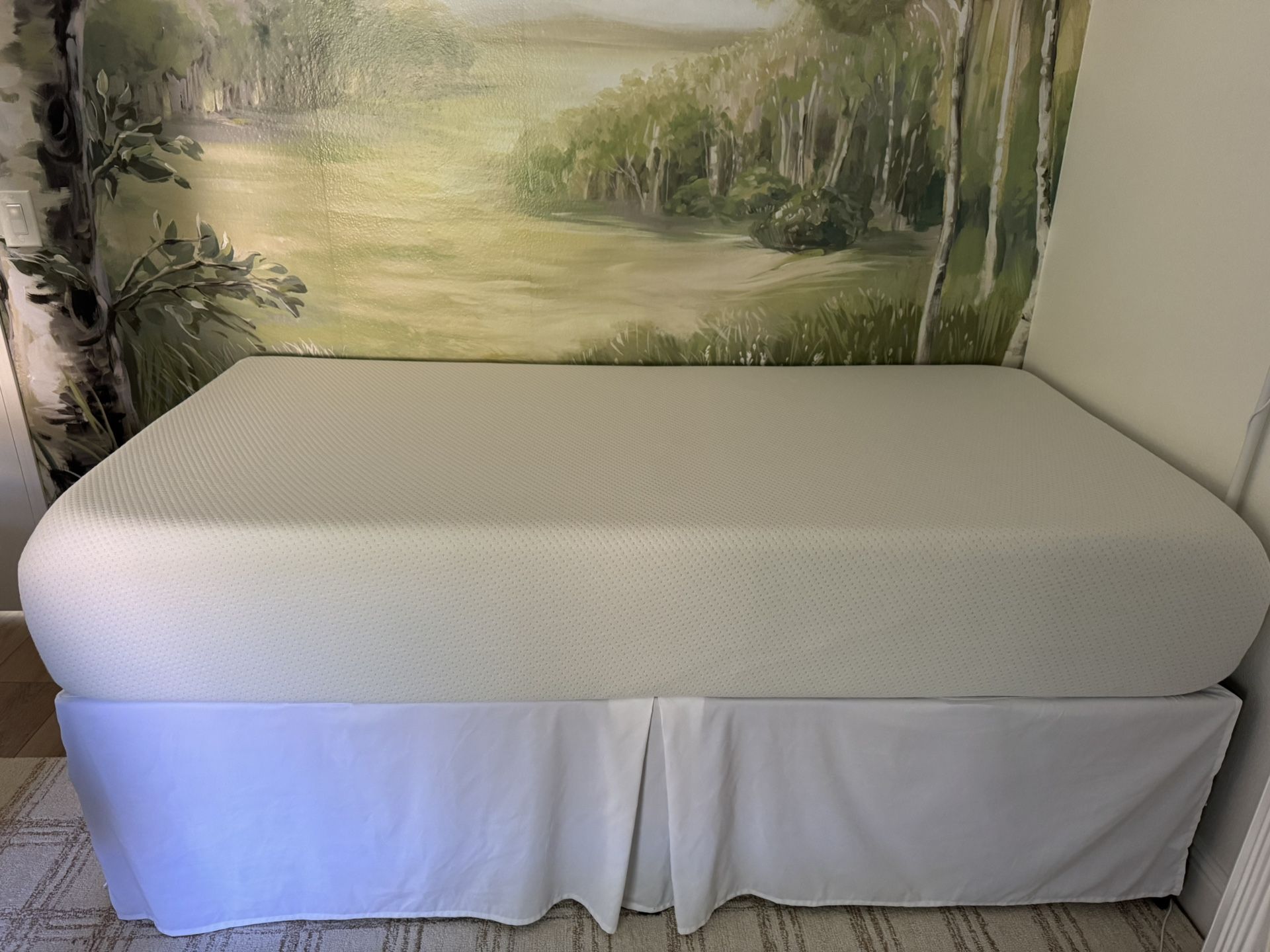 Twin bed /with frame
