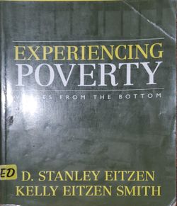 Experiencing Poverty: Voices from the Bottom (2nd Edition)