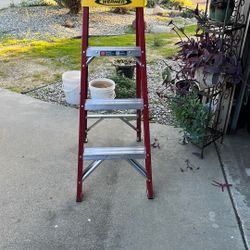 Werner Ladder 