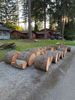 Free wood